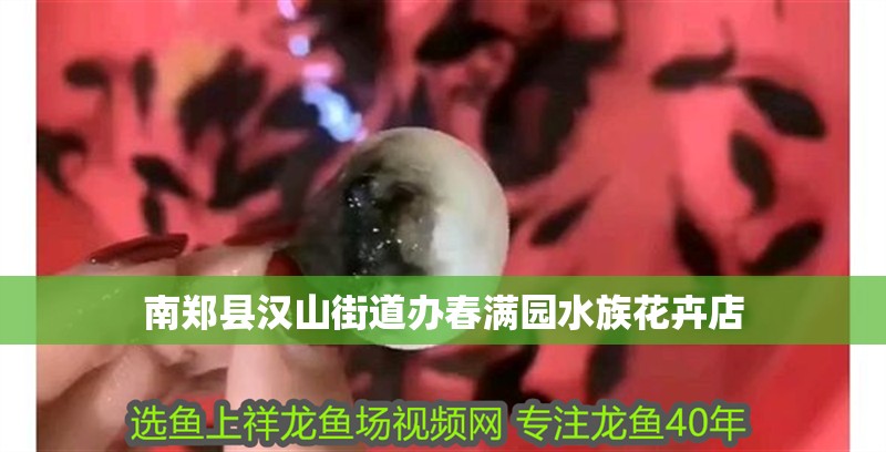 南鄭縣漢山街道辦春滿園水族花卉店