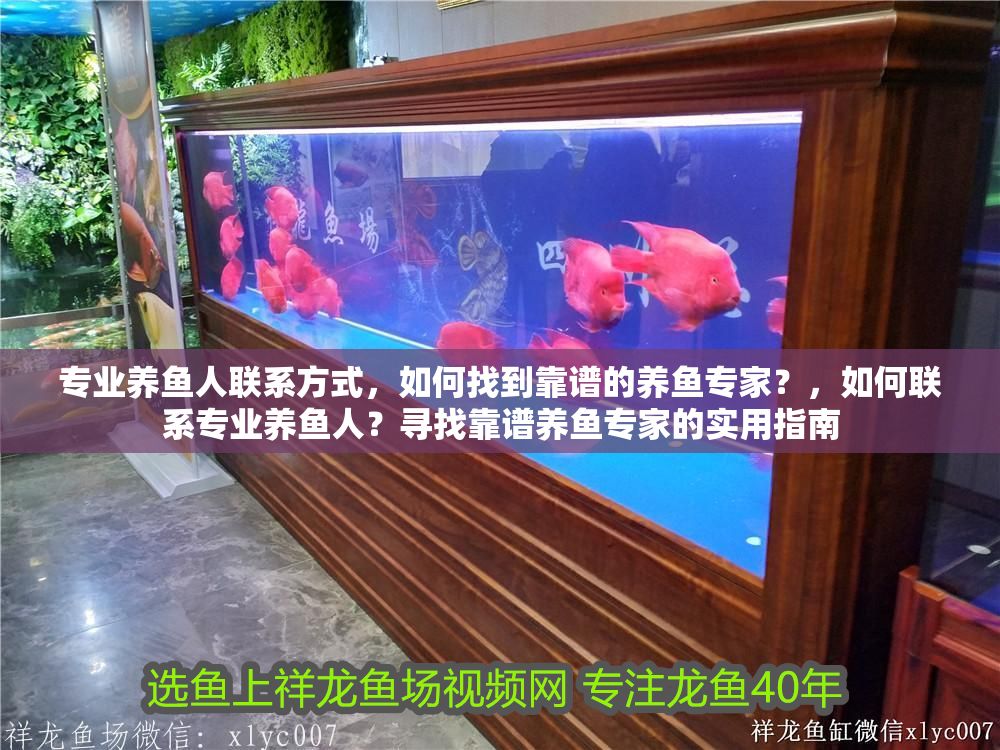 專業(yè)養(yǎng)魚人聯(lián)系方式，如何找到靠譜的養(yǎng)魚專家？，如何聯(lián)系專業(yè)養(yǎng)魚人？尋找靠譜養(yǎng)魚專家的實用指南