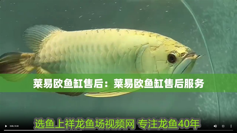 萊易歐魚缸售后：萊易歐魚缸售后服務