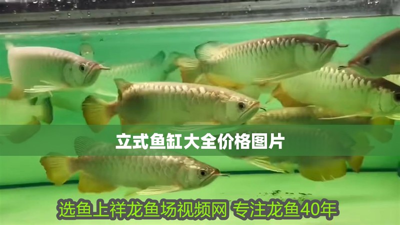 立式魚缸大全價格圖片