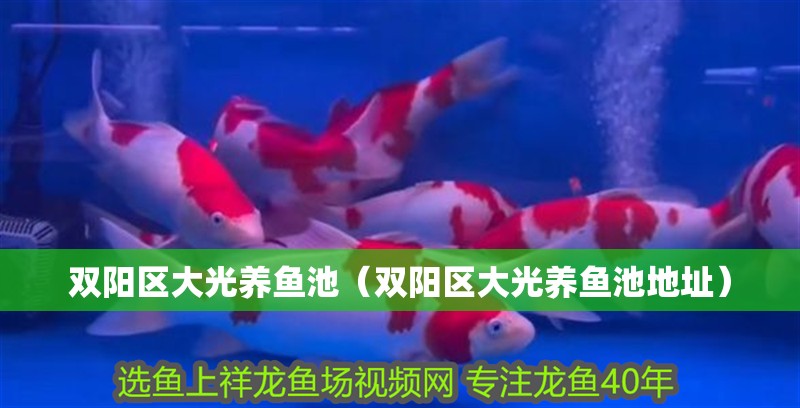 雙陽區大光養魚池(雙陽區大光養魚池地址)