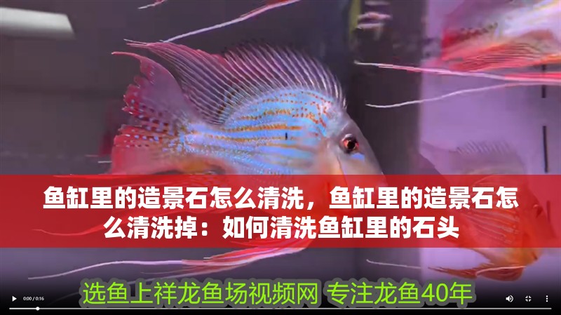魚缸里的造景石怎么清洗,魚缸里的造景石怎么清洗掉:如何清洗魚缸里的石頭