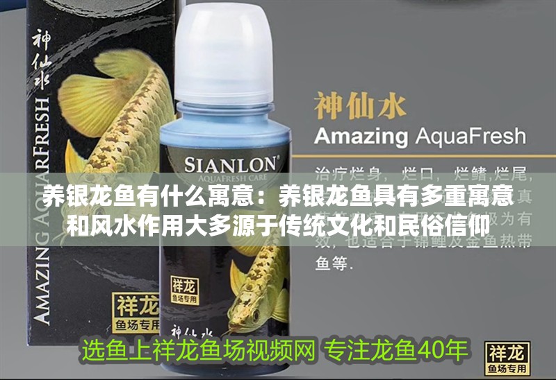 養銀龍魚有什么寓意:養銀龍魚具有多重寓意和風水作用大多源于傳統文化和民俗信仰