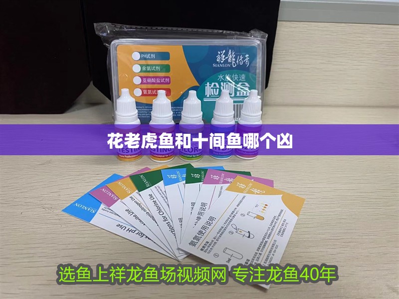 花老虎魚和十間魚哪個兇