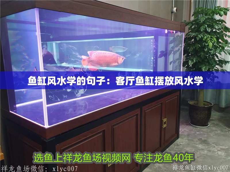 魚缸風(fēng)水學(xué)的句子:客廳魚缸擺放風(fēng)水學(xué)