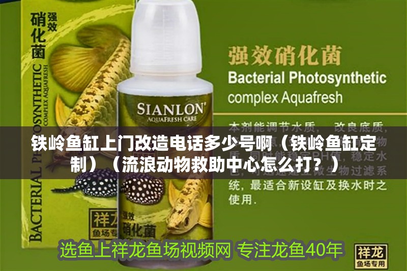 鐵嶺魚缸上門改造電話多少號啊（鐵嶺魚缸定制）（流浪動物救助中心怎么打？）