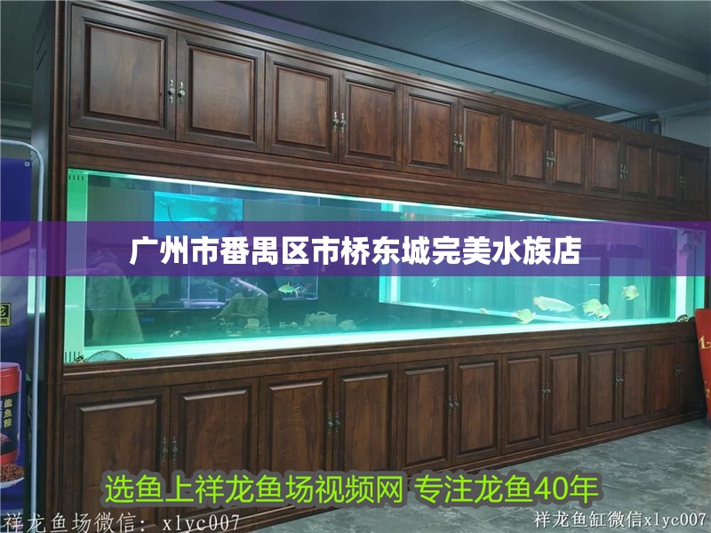 廣州市番禺區市橋東城完美水族店 廣州市番禺區市橋東城完美水族店 全國水族館企業名錄