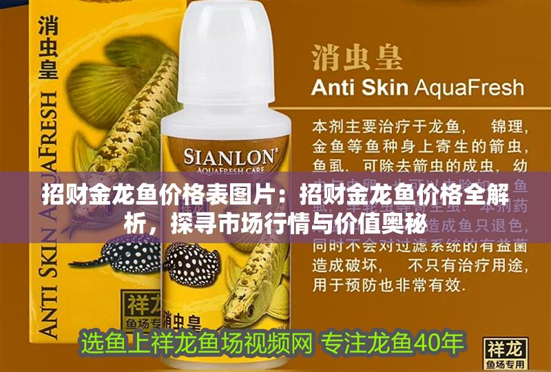 招財金龍魚價格表圖片：招財金龍魚價格全解析，探尋市場行情與價值奧秘