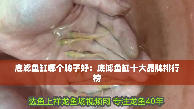 底濾魚缸哪個牌子好:底濾魚缸十大品牌排行榜