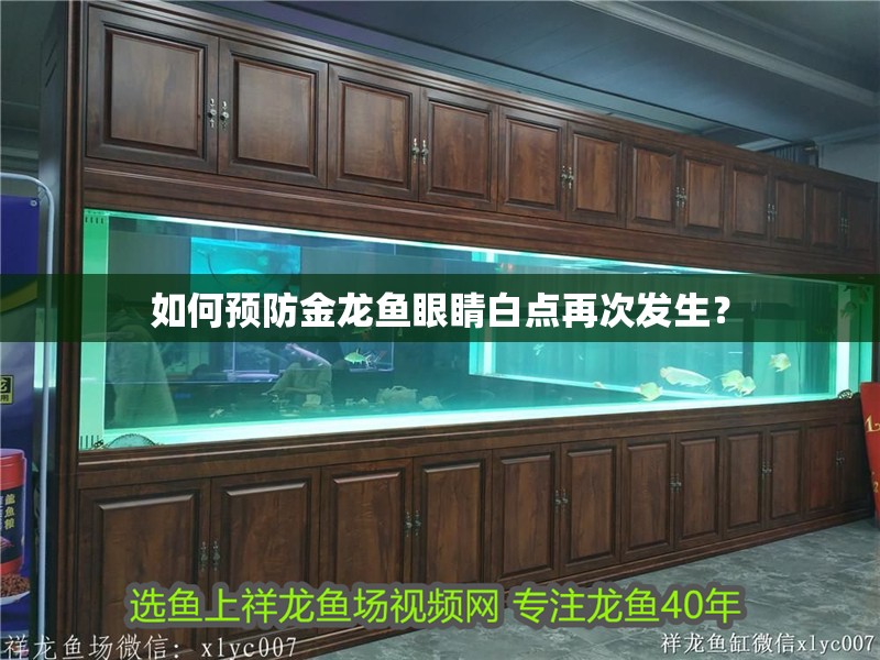 如何預防金龍魚眼睛白點再次發生？