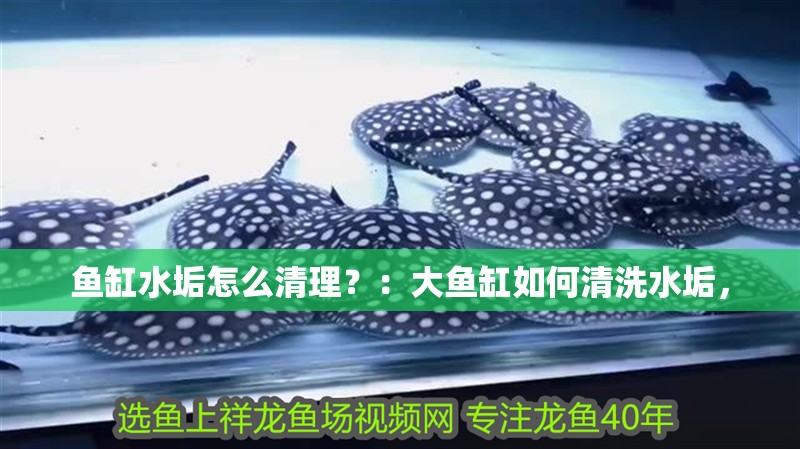 魚缸水垢怎么清理？：大魚缸如何清洗水垢， 魚缸水垢怎么清理？：大魚缸如何清洗水垢， 魚缸百科
