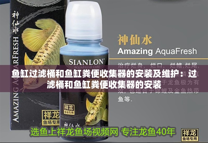 魚缸過濾桶和魚缸糞便收集器的安裝及維護：過濾桶和魚缸糞便收集器的安裝 魚缸過濾桶和魚缸糞便收集器的安裝及維護：過濾桶和魚缸糞便收集器的安裝 魚缸百科