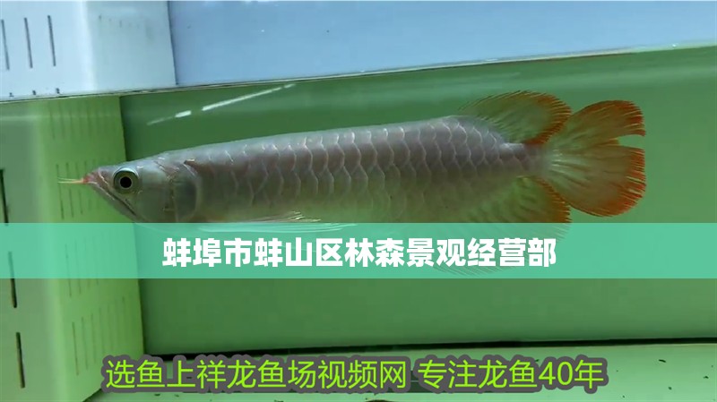 蚌埠市蚌山區林森景觀經營部