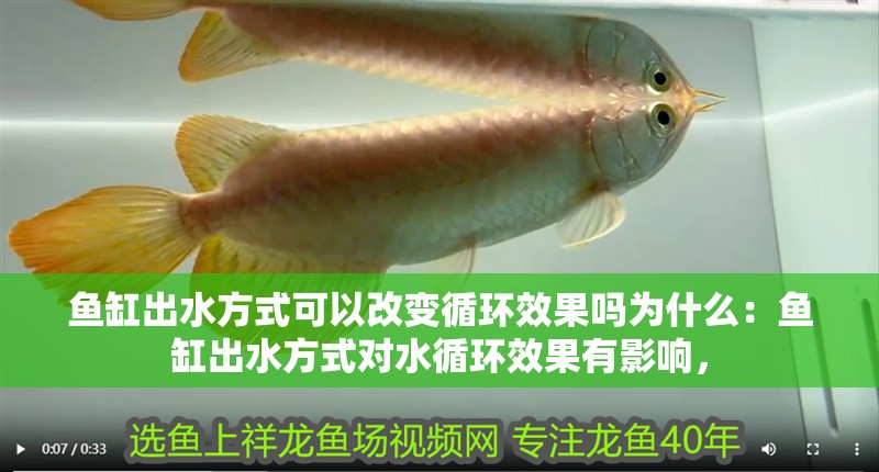 魚缸出水方式可以改變循環(huán)效果嗎為什么：魚缸出水方式對水循環(huán)效果有影響，