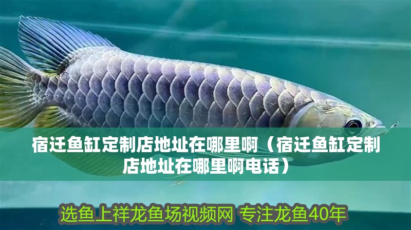 宿遷魚缸定制店地址在哪里?。ㄋ捱w魚缸定制店地址在哪里啊電話）