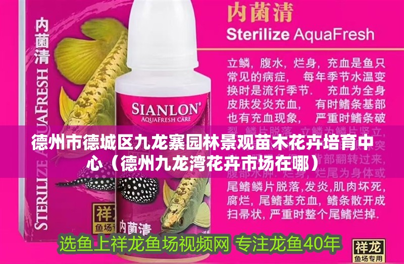 德州市德城區九龍寨園林景觀苗木花卉培育中心（德州九龍灣花卉市場在哪） 德州市德城區九龍寨園林景觀苗木花卉培育中心（德州九龍灣花卉市場在哪） 全國水族館企業名錄