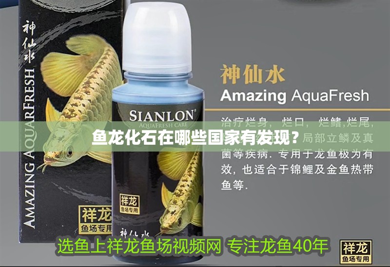 魚龍化石在哪些國家有發現？
