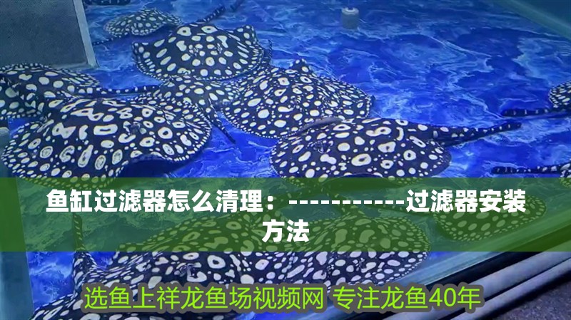 魚(yú)缸過(guò)濾器怎么清理：-----------過(guò)濾器安裝方法 魚(yú)缸過(guò)濾器怎么清理：-----------過(guò)濾器安裝方法 魚(yú)缸百科