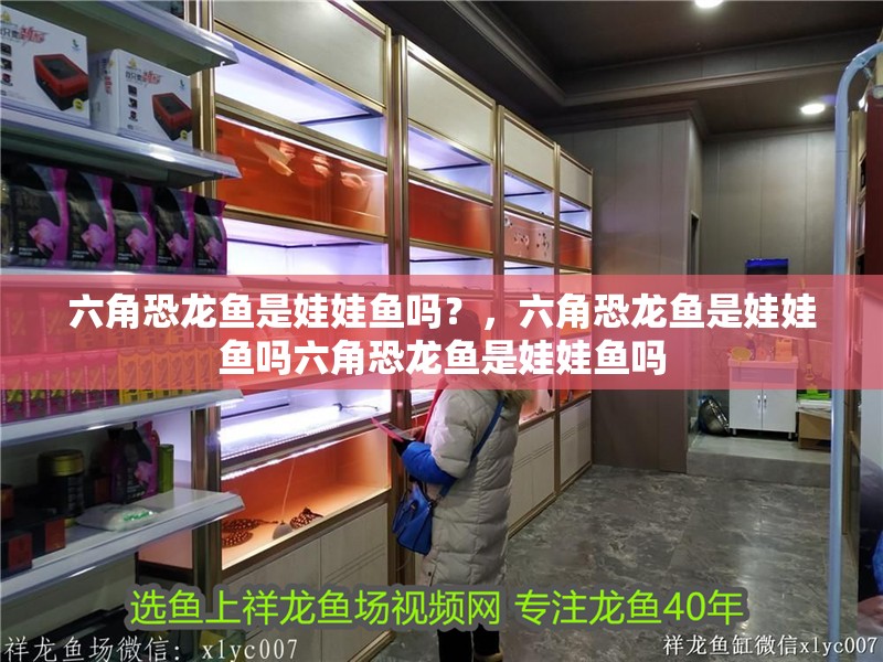六角恐龍魚是娃娃魚嗎？，六角恐龍魚是娃娃魚嗎六角恐龍魚是娃娃魚嗎