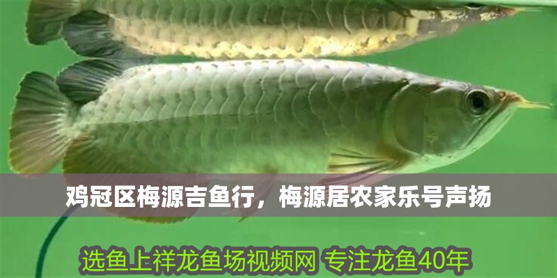雞冠區梅源吉魚行，梅源居農家樂號聲揚 雞冠區梅源吉魚行，梅源居農家樂號聲揚 全國水族館企業名錄