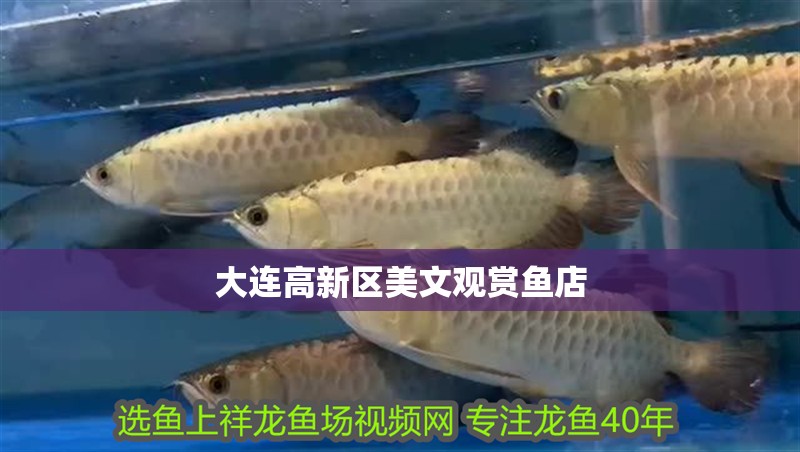 大連高新區(qū)美文觀賞魚店 大連高新區(qū)美文觀賞魚店 全國水族館企業(yè)名錄
