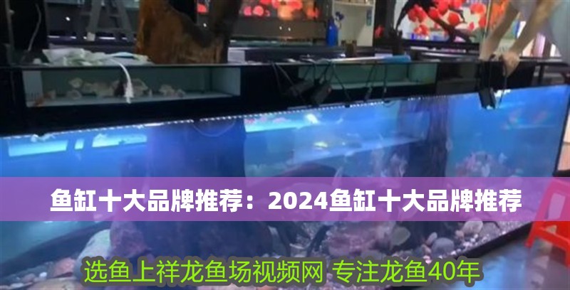 魚缸十大品牌推薦：2024魚缸十大品牌推薦