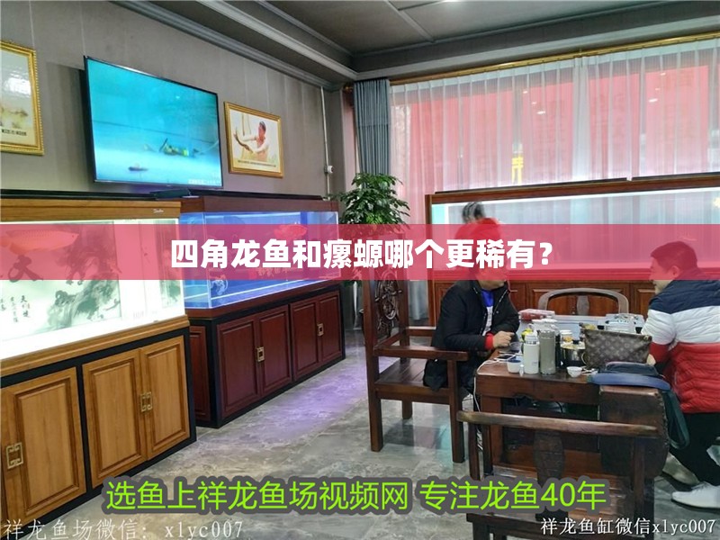 四角龍魚和瘰螈哪個更稀有？