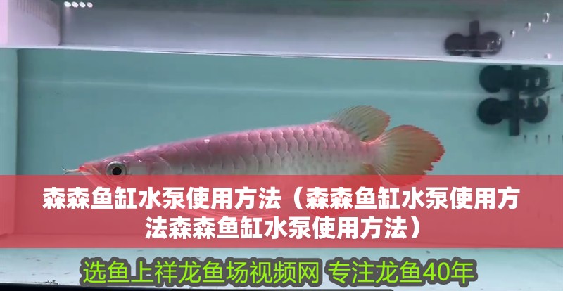 森森魚缸水泵使用方法（森森魚缸水泵使用方法森森魚缸水泵使用方法） 森森魚缸水泵使用方法（森森魚缸水泵使用方法森森魚缸水泵使用方法） 魚缸百科