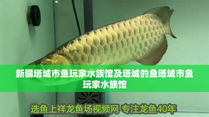 新疆<strong><mark>塔城</mark></strong>市魚玩家水族館及<strong><mark>塔城</mark></strong>的魚<strong><mark>塔城</mark></strong>市魚玩家水族館