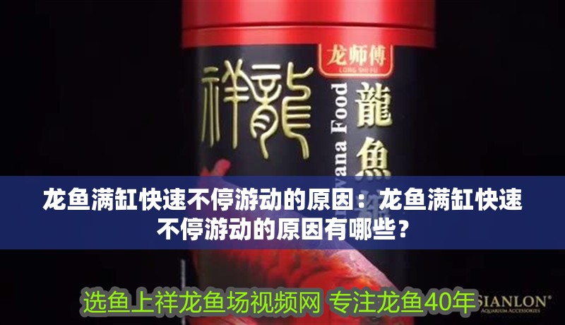 龍魚滿缸快速不停游動的原因：龍魚滿缸快速不停游動的原因有哪些？