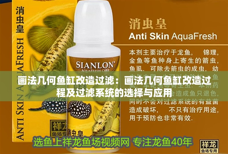 畫法幾何魚缸改造過濾：畫法幾何魚缸改造過程及過濾系統的選擇與應用