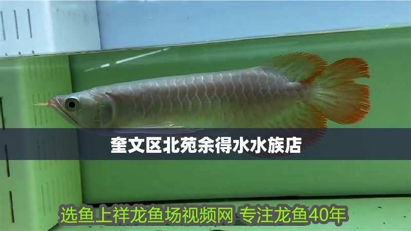 奎文區北苑余得水水族店