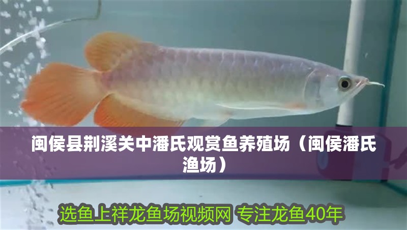 閩侯縣荊溪關中潘氏觀賞魚養殖場（閩侯潘氏漁場）