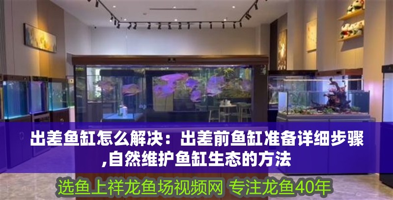 出差魚缸怎么解決：出差前魚缸準備詳細步驟,自然維護魚缸生態的方法 出差魚缸怎么解決：出差前魚缸準備詳細步驟,自然維護魚缸生態的方法 魚缸百科
