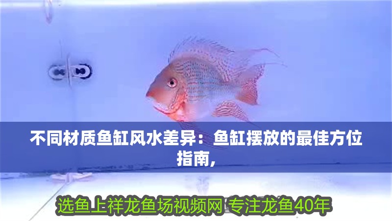 不同材質魚缸風水差異：魚缸擺放的最佳方位指南,