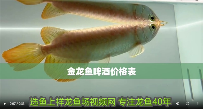 金龍魚啤酒價格表 金龍魚啤酒價格表 龍魚百科