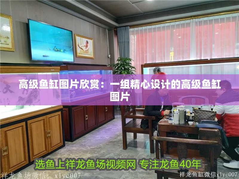 高級(jí)魚缸圖片欣賞：一組精心設(shè)計(jì)的高級(jí)魚缸圖片