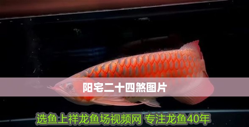陽宅二十四煞圖片 陽宅二十四煞圖片 龍魚論壇