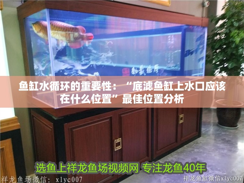 魚缸水循環(huán)的重要性：“底濾魚缸上水口應(yīng)該在什么位置”最佳位置分析