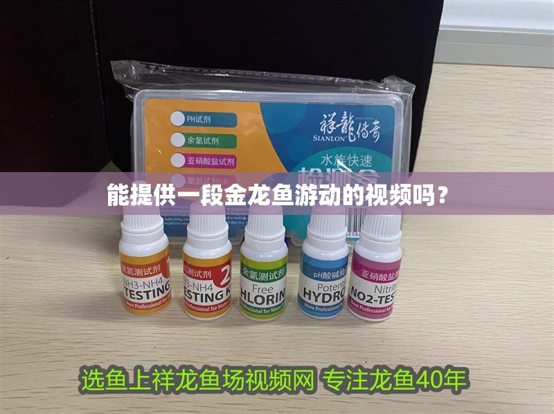能提供一段金龍魚游動(dòng)的視頻嗎？