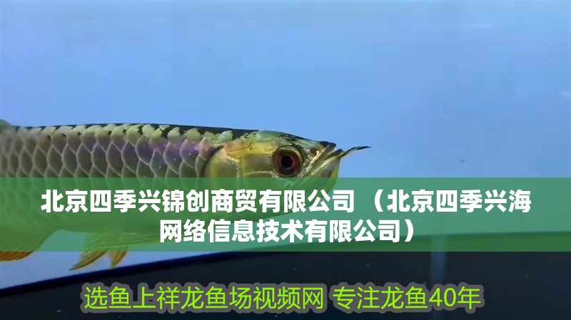 北京四季興錦創商貿有限公司 （北京四季興海網絡信息技術有限公司）