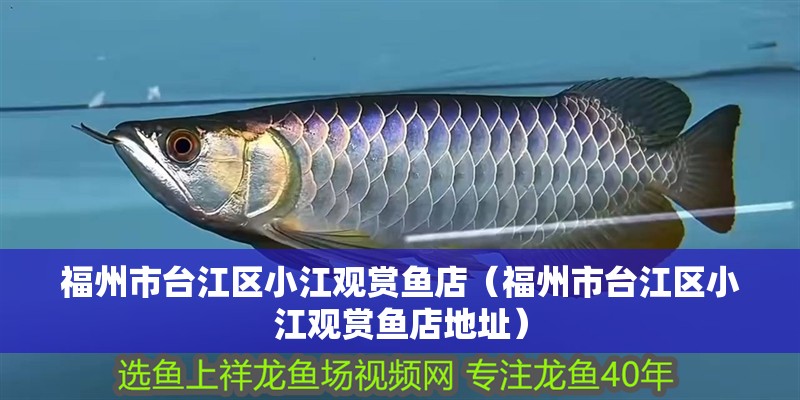 福州市臺江區小江觀賞魚店（福州市臺江區小江觀賞魚店地址）