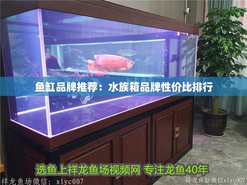 魚缸品牌推薦：水族箱品牌性價比排行