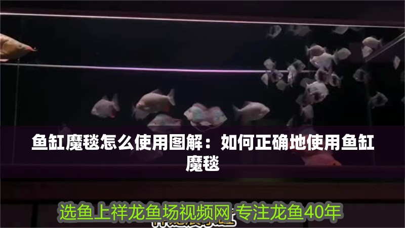魚缸魔毯怎么使用圖解：如何正確地使用魚缸魔毯 魚缸魔毯怎么使用圖解：如何正確地使用魚缸魔毯 魚缸百科