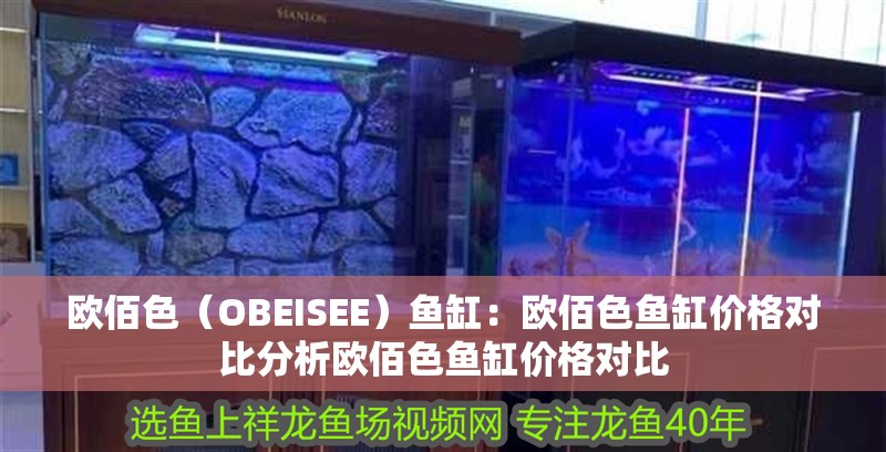 歐佰色（OBEISEE）魚缸：歐佰色魚缸價格對比分析歐佰色魚缸價格對比