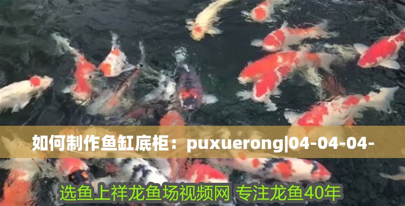 如何制作魚缸底柜：puxuerong|04-04-04- 如何制作魚缸底柜：puxuerong|04-04-04- 魚缸百科