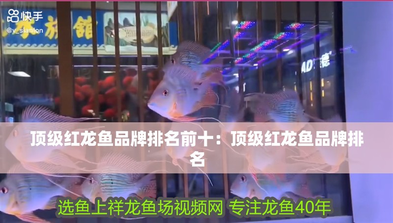 頂級紅龍魚品牌排名前十：頂級紅龍魚品牌排名 頂級紅龍魚品牌排名前十：頂級紅龍魚品牌排名 龍魚百科