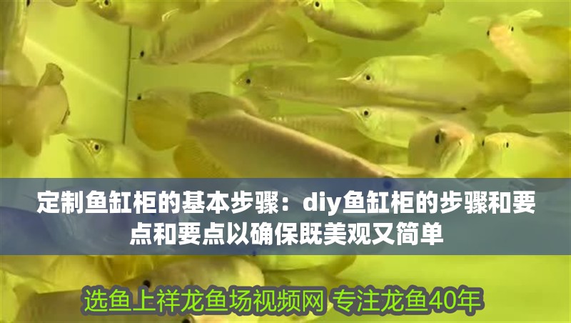 定制魚缸柜的基本步驟：diy魚缸柜的步驟和要點(diǎn)和要點(diǎn)以確保既美觀又簡單