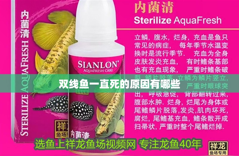 雙線魚一直死的原因有哪些