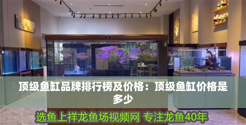 頂級魚缸品牌排行榜及價格：頂級魚缸價格是多少